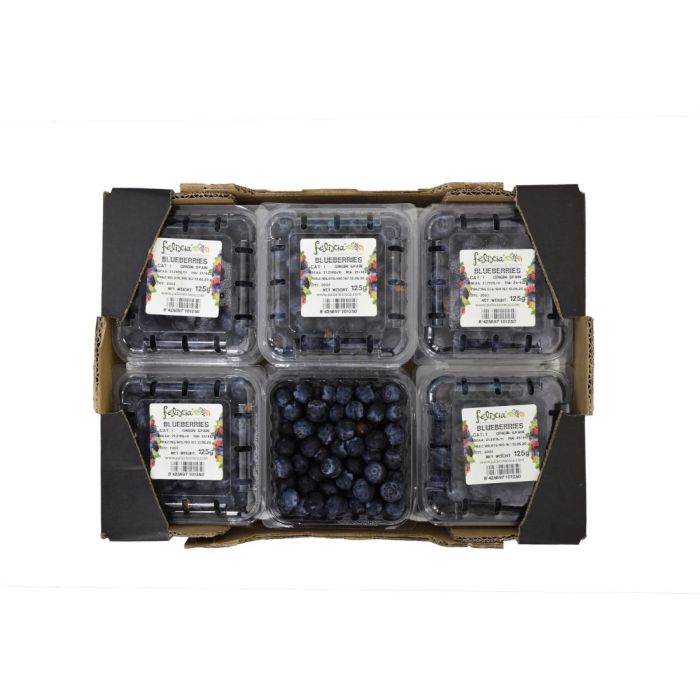 Buy Blueberry Box 12 Pkts Online in Dubai, Sharjah, Abu Dhabi, Ajman ...