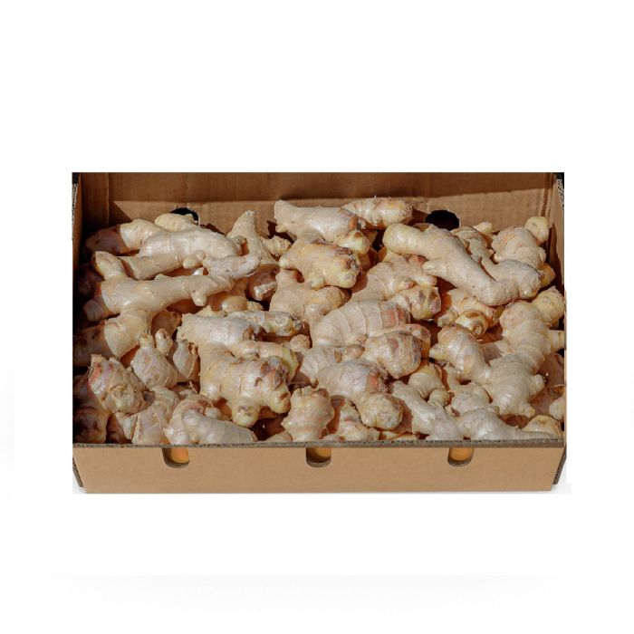 Ginger China 2.5 - 3 Kg Box_0