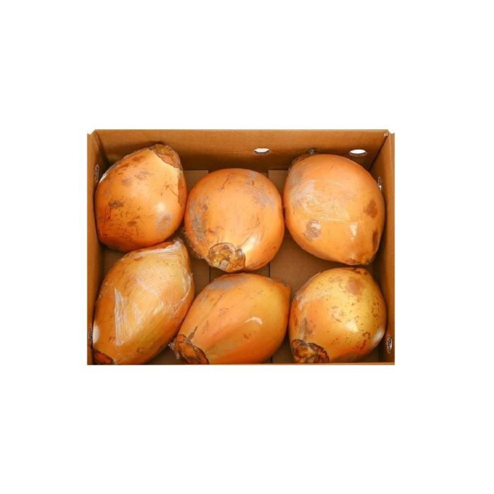 Coconut King/Yellow Box 6pcs_0