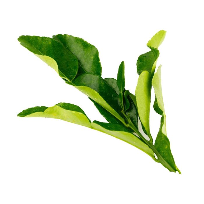 Lemon Leaves (Kaffir)_0