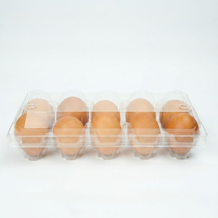 Eggs Brown Organic (Pack of 10)_1
