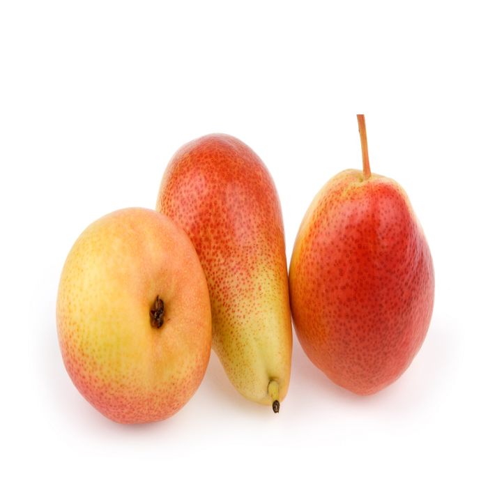 Pears Forelle_0