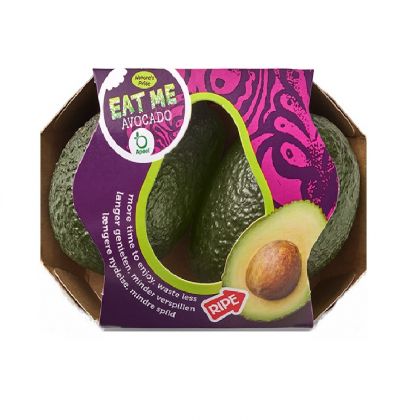 Avocado Eat Me 2Pc Pack