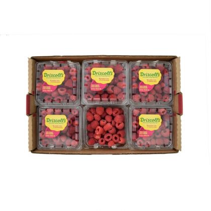 Raspberries Box (12 Pack Box)