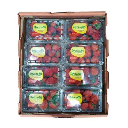 Driscoll's Strawberry Box 454g x 8