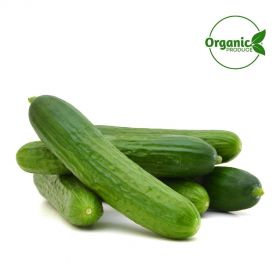 Cucumber Organic 500g