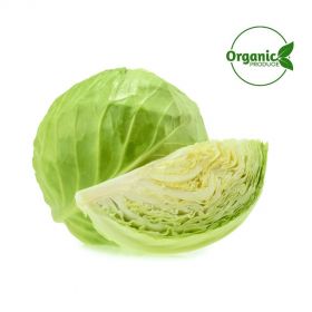 Cabbage Organic