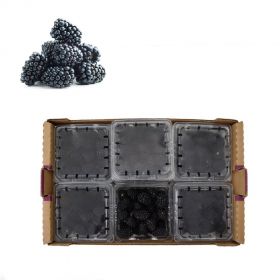 Blackberries-box-(12-Packet-Box)
