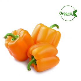 Capsicum Orange Organic
