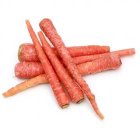 Carrot Red (Gajar)