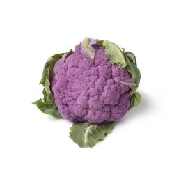 Cauliflower Purple 1-1.3 Kg