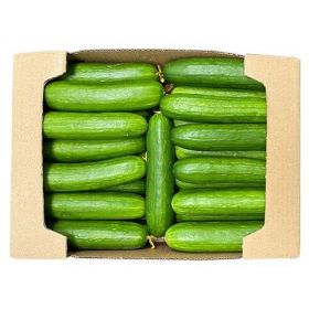 Cucumber 5kg