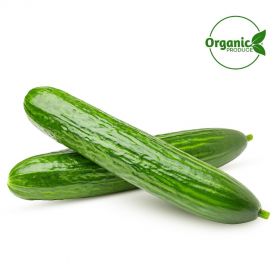 Cucumber-Organic-1Pkt
