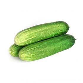 Cucumber Premium
