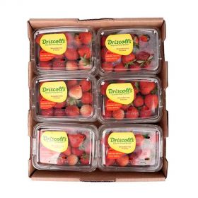 Driscoll's Strawberry Box 250g x 12