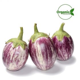 Eggplant Pink Organic