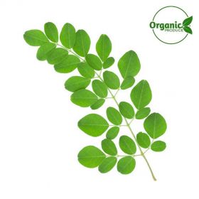 Moringa/Drumstick Leaves Organic