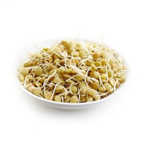 Green Lentil Sprouts (Green Masoor Sprouts)