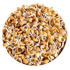 Horse Gram Sprouts (Mudira Sprouts)