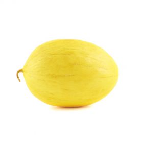 Honey-Dew-Melon-1.5-2Kg
