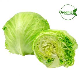  Lettuce Iceberg Organic 500g