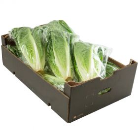 Lettuce Romaine Bag