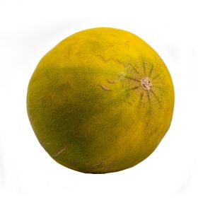 Lime Melon 1Pc