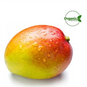 Mango Organic
