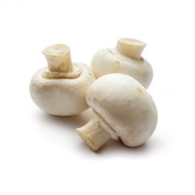 Mushroom Button White