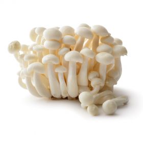 Mushroom Shimeji White