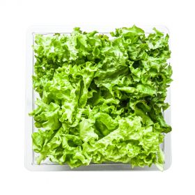 Must Have Salad Mix - Madar Farms