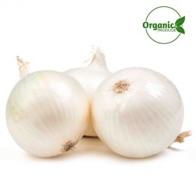 Onion White Organic