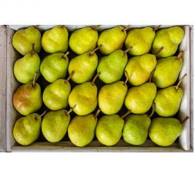 Pears D'Anjou