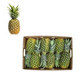 Pineapple Box 