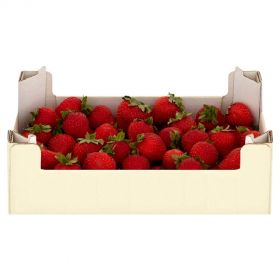 Strawberry Egypt Box 2.5kg