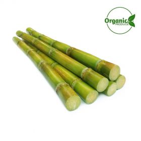 Sugarcane Organic