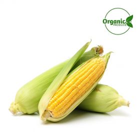 Sweet Corn Organic