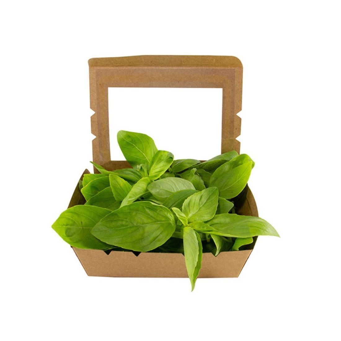 Buy Basil in packet Premium Quality 20g Pack Online in Dubai