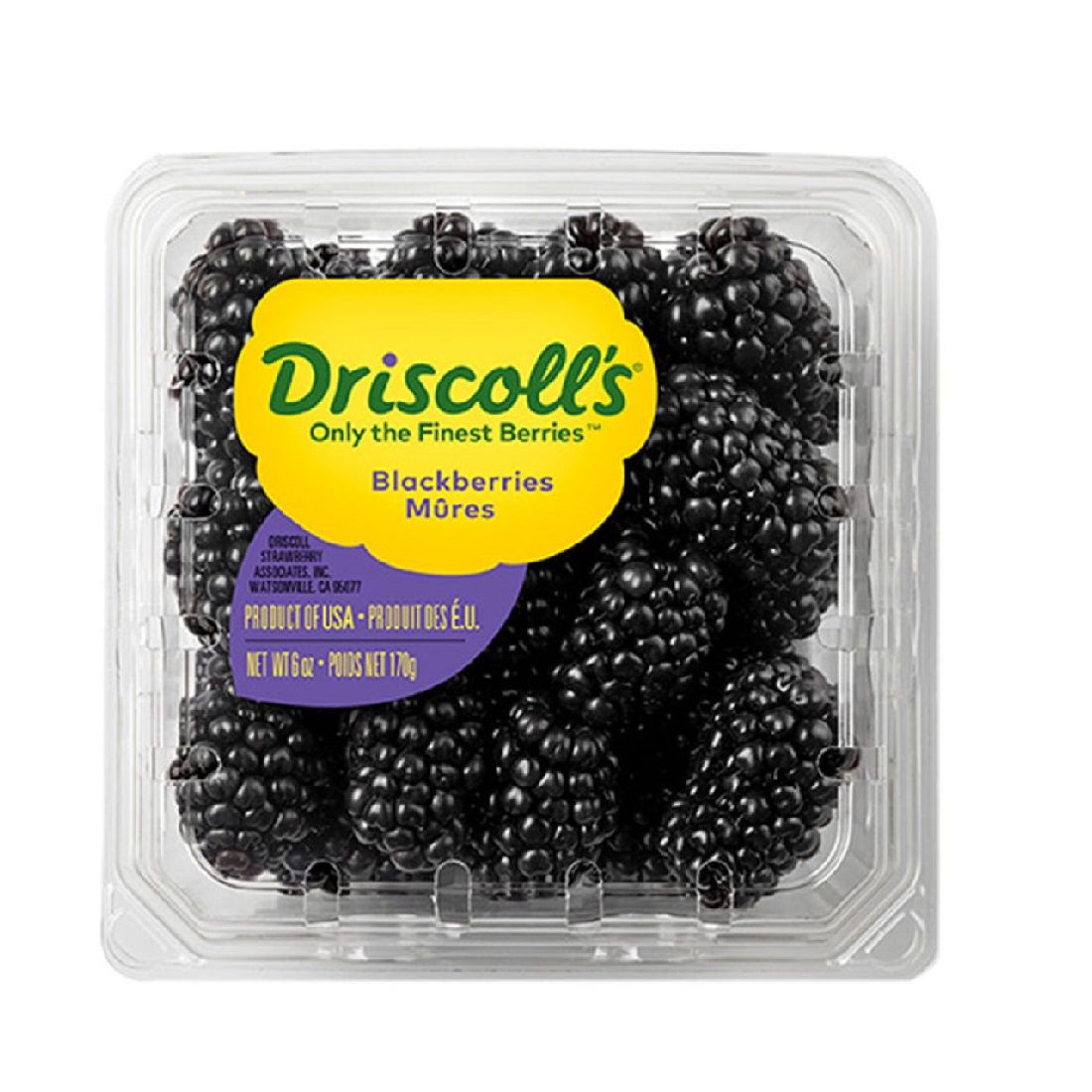 Buy Blackberries 170g Online in Dubai, Sharjah, Abu Dhabi, Ajman, Al