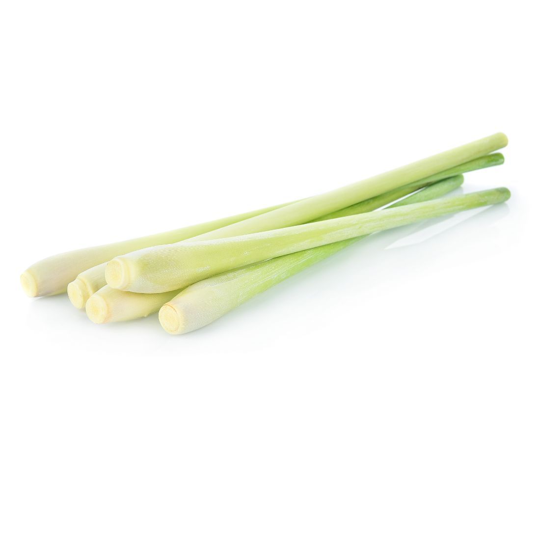 Buy lemongrass deals plant