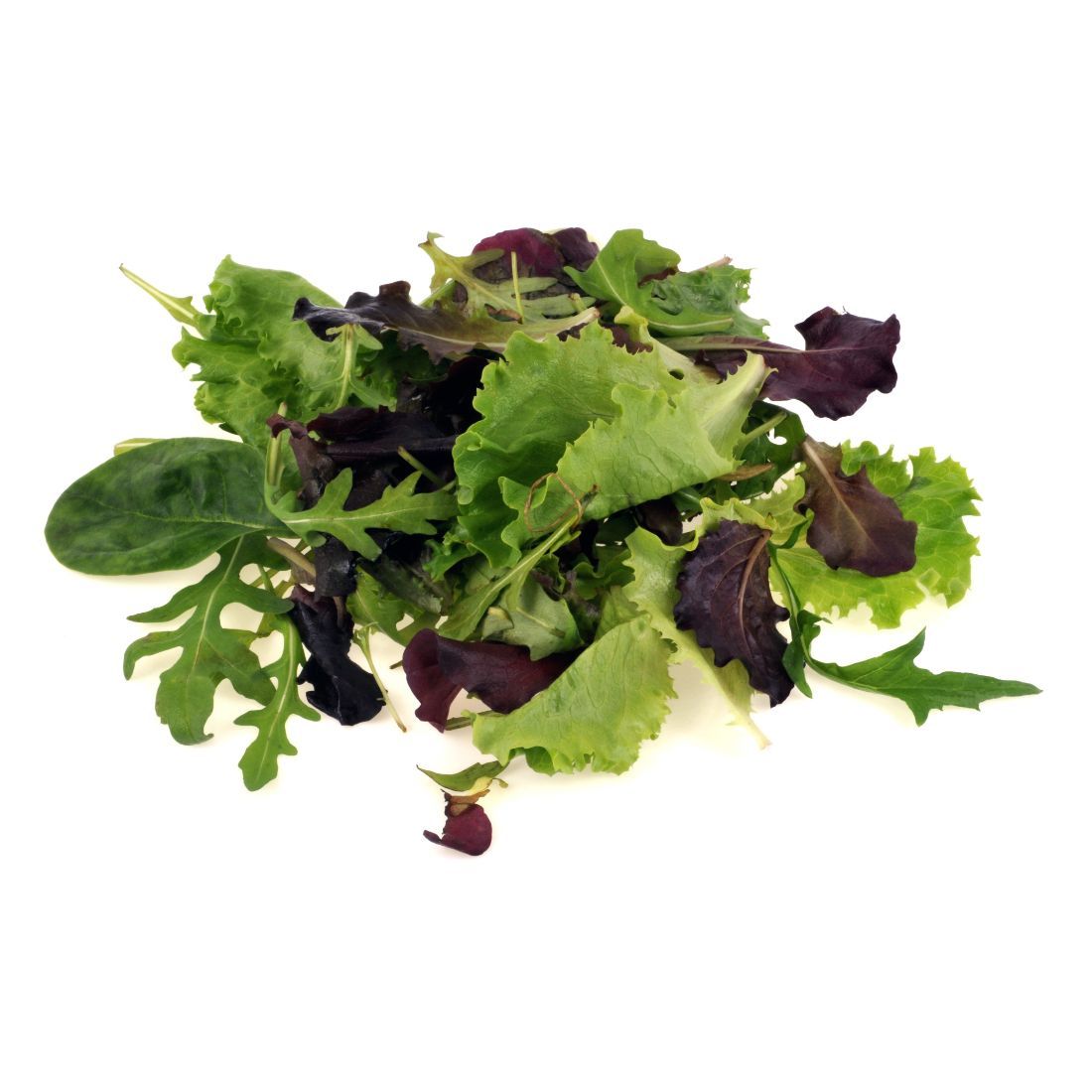 Buy Lettuce Mesclun 1pkt Online In Dubai, Sharjah, Abu Dhabi, Ajman, Al 