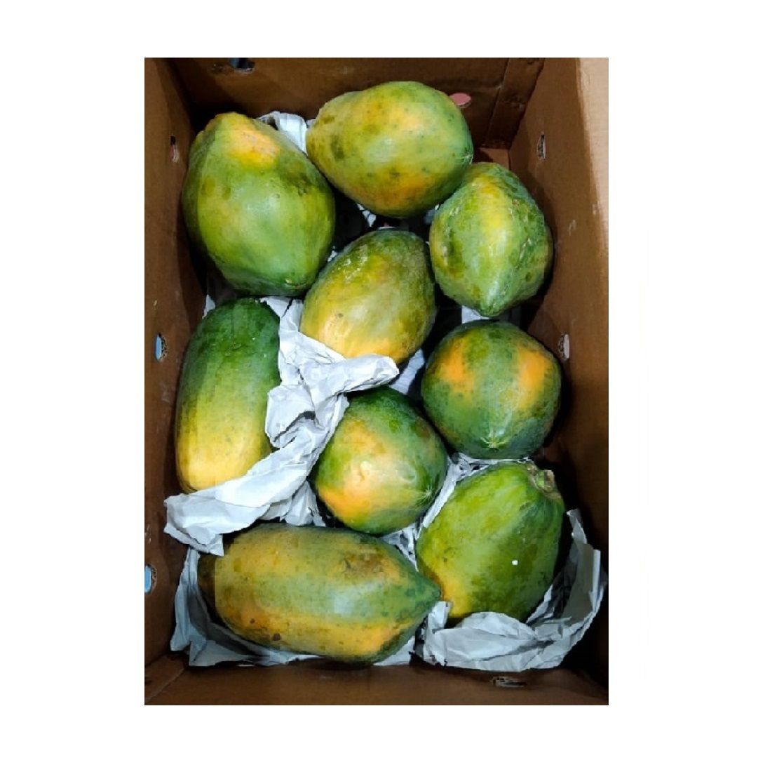 Papaya Premium 5-6Kg Box_0