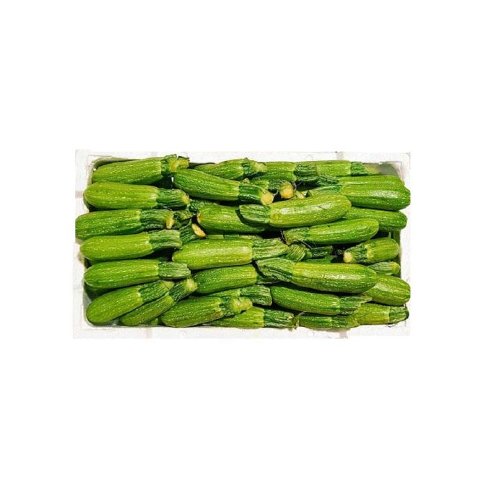 Marrow (Koosa) 5 Kg Box_0