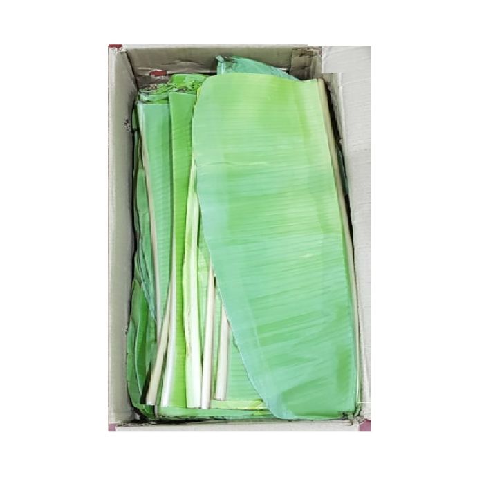 Banana Leaves Box_0