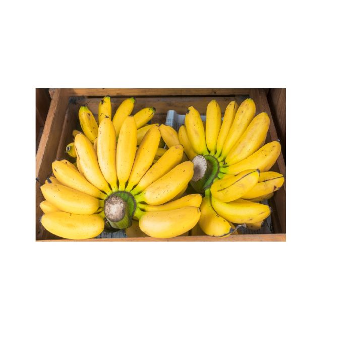 علبة موز رساكدالي صغيرة 4 كغ_0