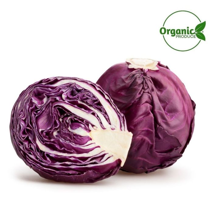 Cabbage Red Organic 1 Pc_0