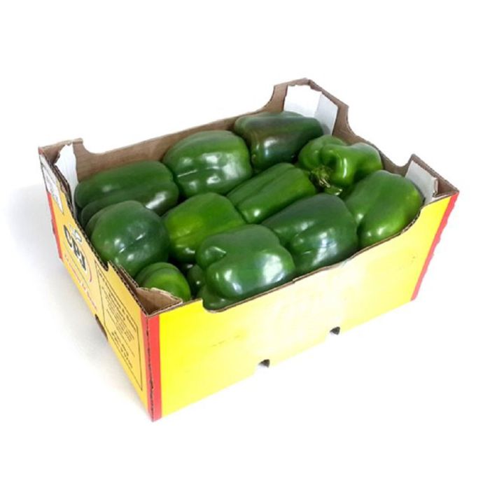 Capsicum Green_0