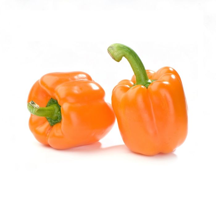Capsicum Orange_0