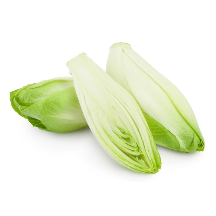 Chicory White_0