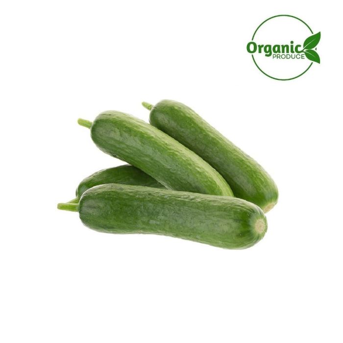 Cucumber Snack Organic_0